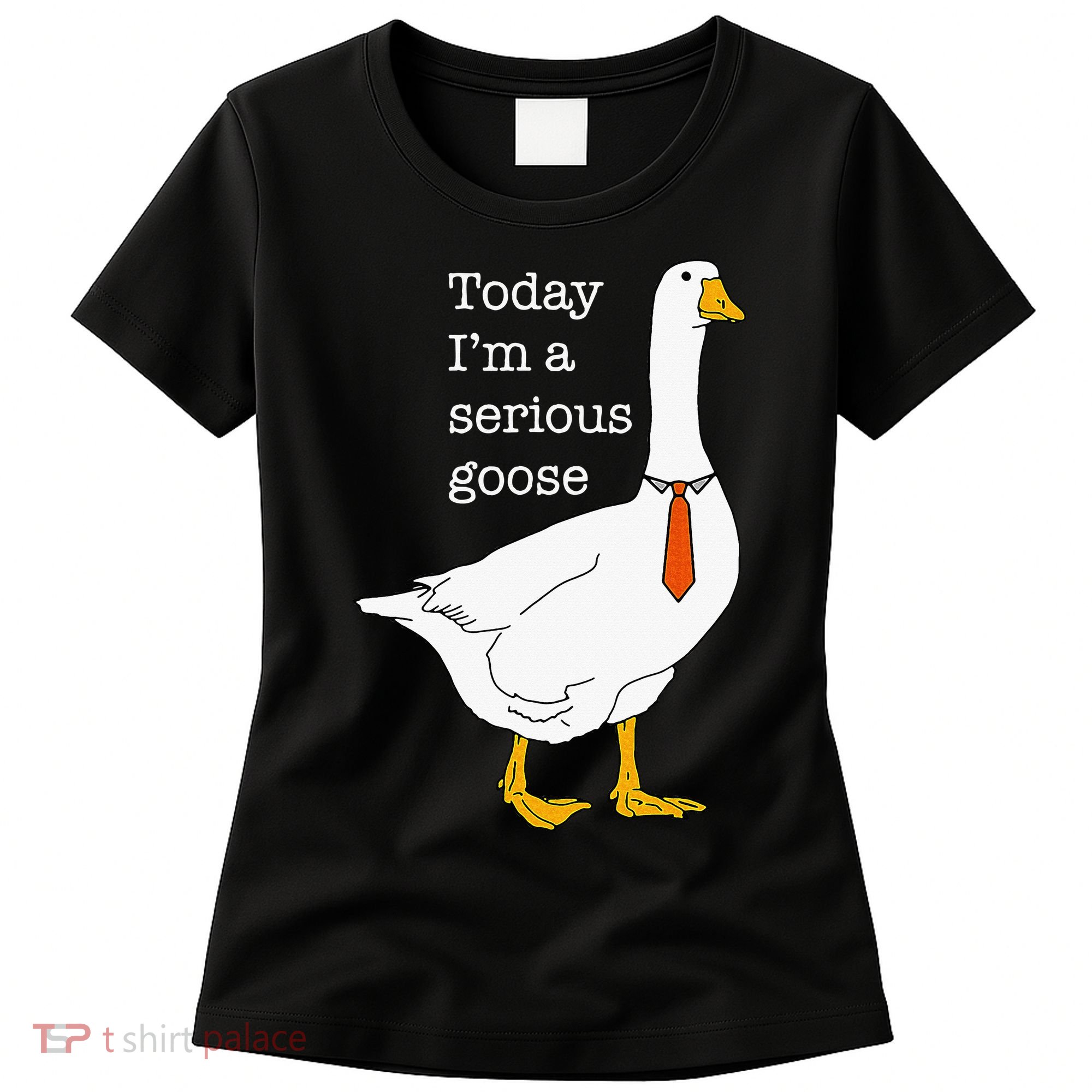 Today IM A Serious Goose Silly Goose Women's T-Shirt