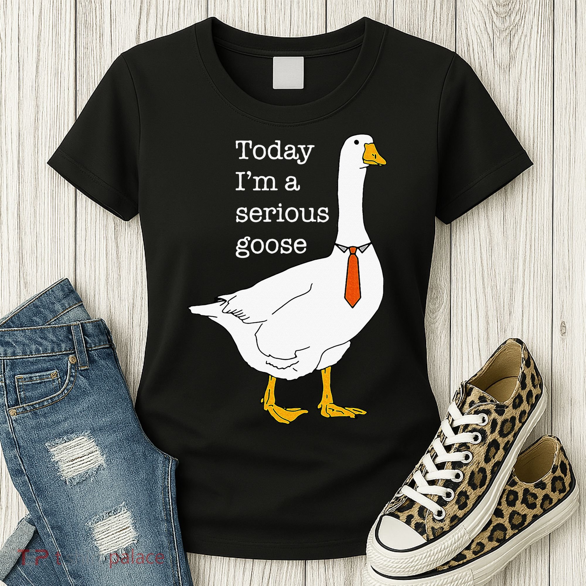 Today IM A Serious Goose Silly Goose Women's T-Shirt