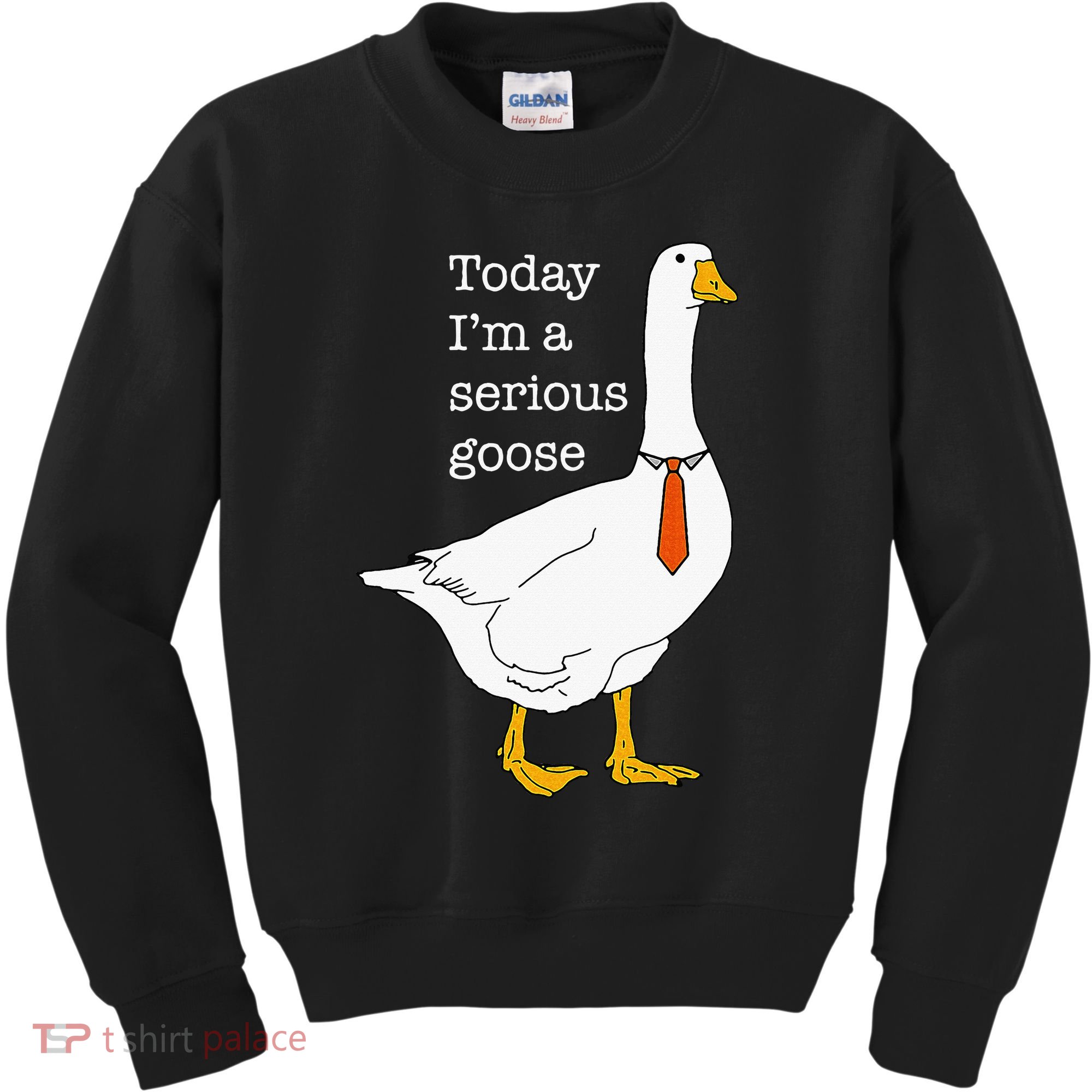 Today IM A Serious Goose Silly Goose Kids Sweatshirt