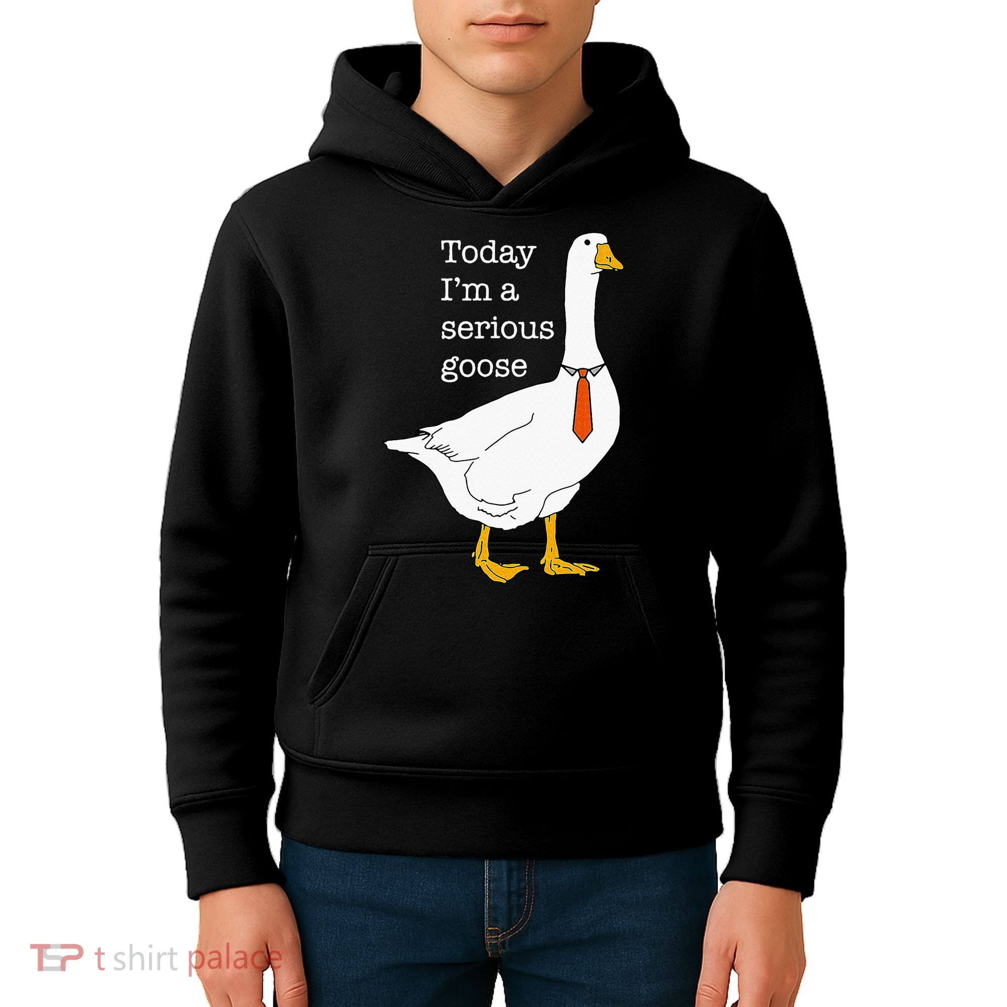 Today IM A Serious Goose Silly Goose Kids Hoodie