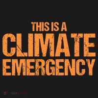 This Is A Climate Emergency Polo thumb 3
