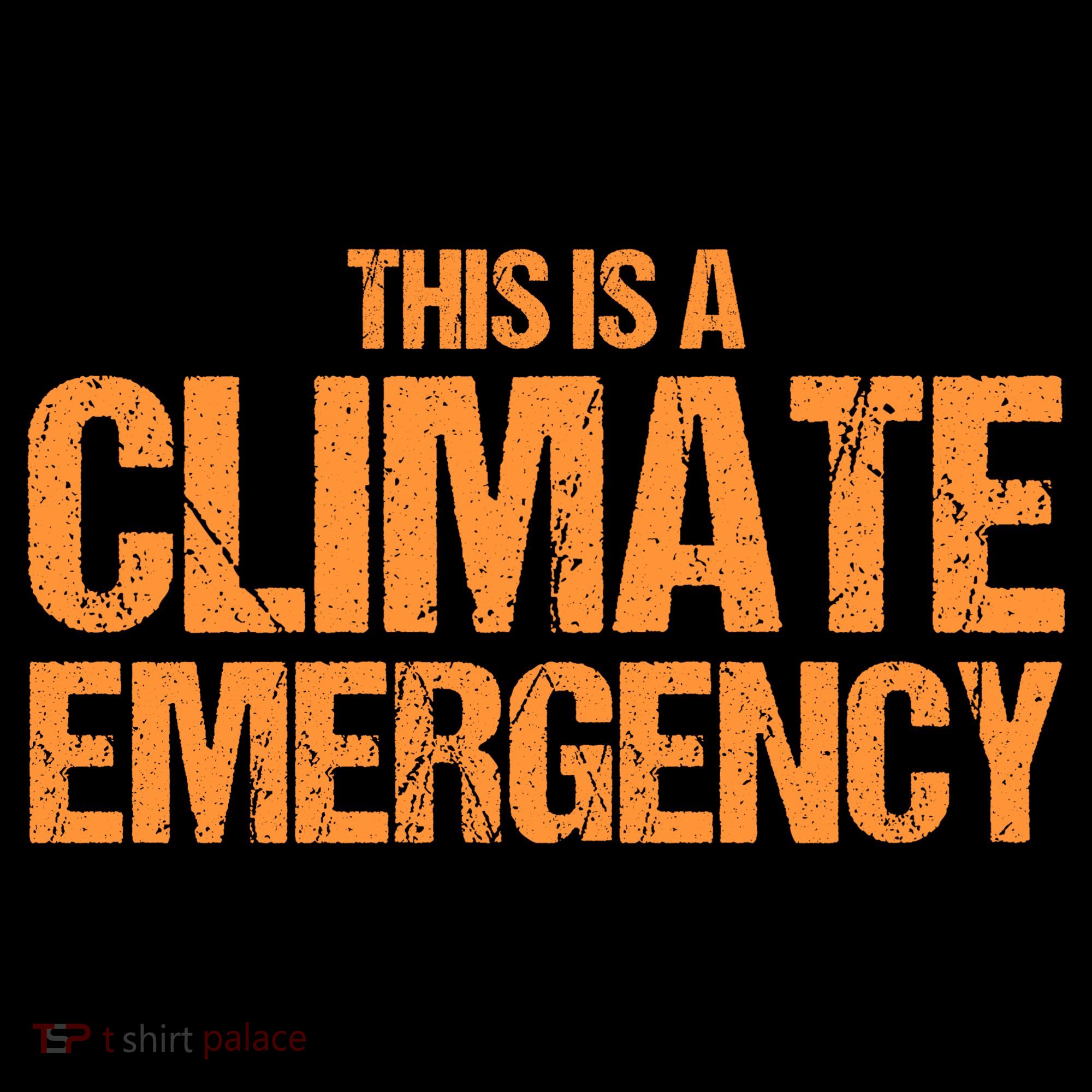 This Is A Climate Emergency Women's Long Sleeve Shirt