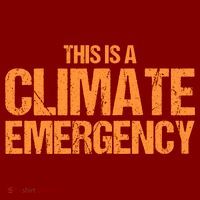 This Is A Climate Emergency Hoodie thumb 7