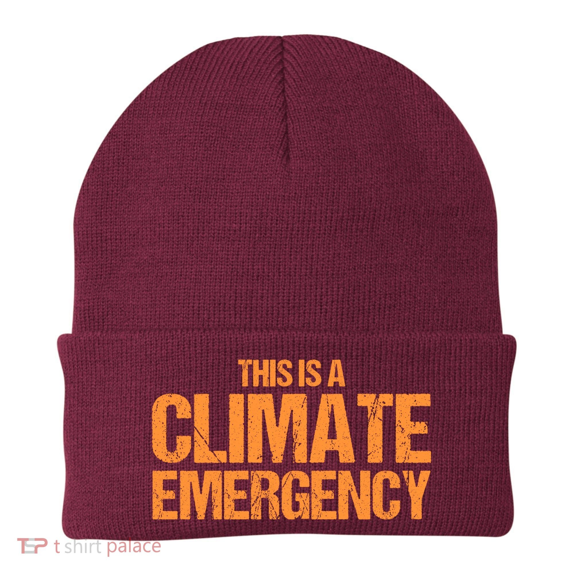 This Is A Climate Emergency Beanie