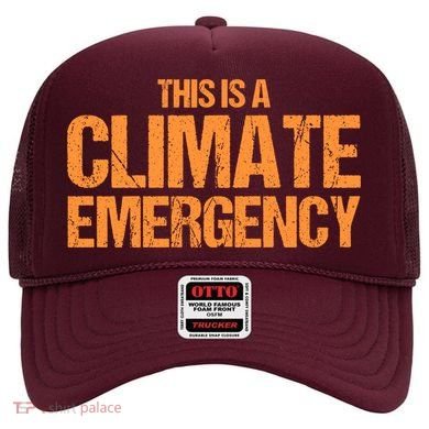 This Is A Climate Emergency Hat