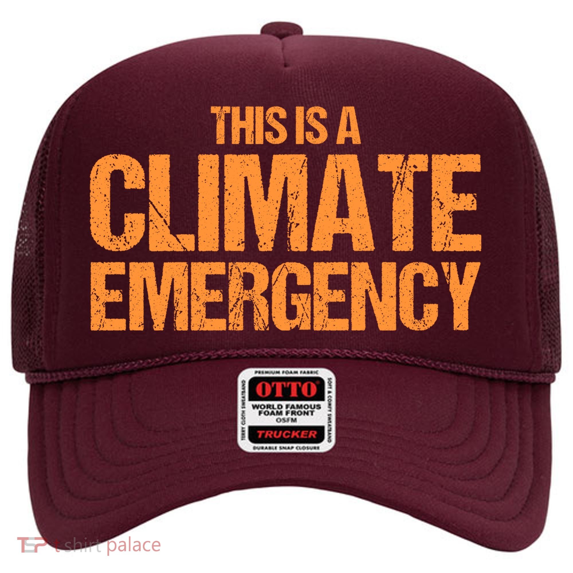 This Is A Climate Emergency Hat