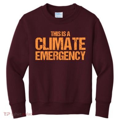This Is A Climate Emergency Kids Sweatshirt