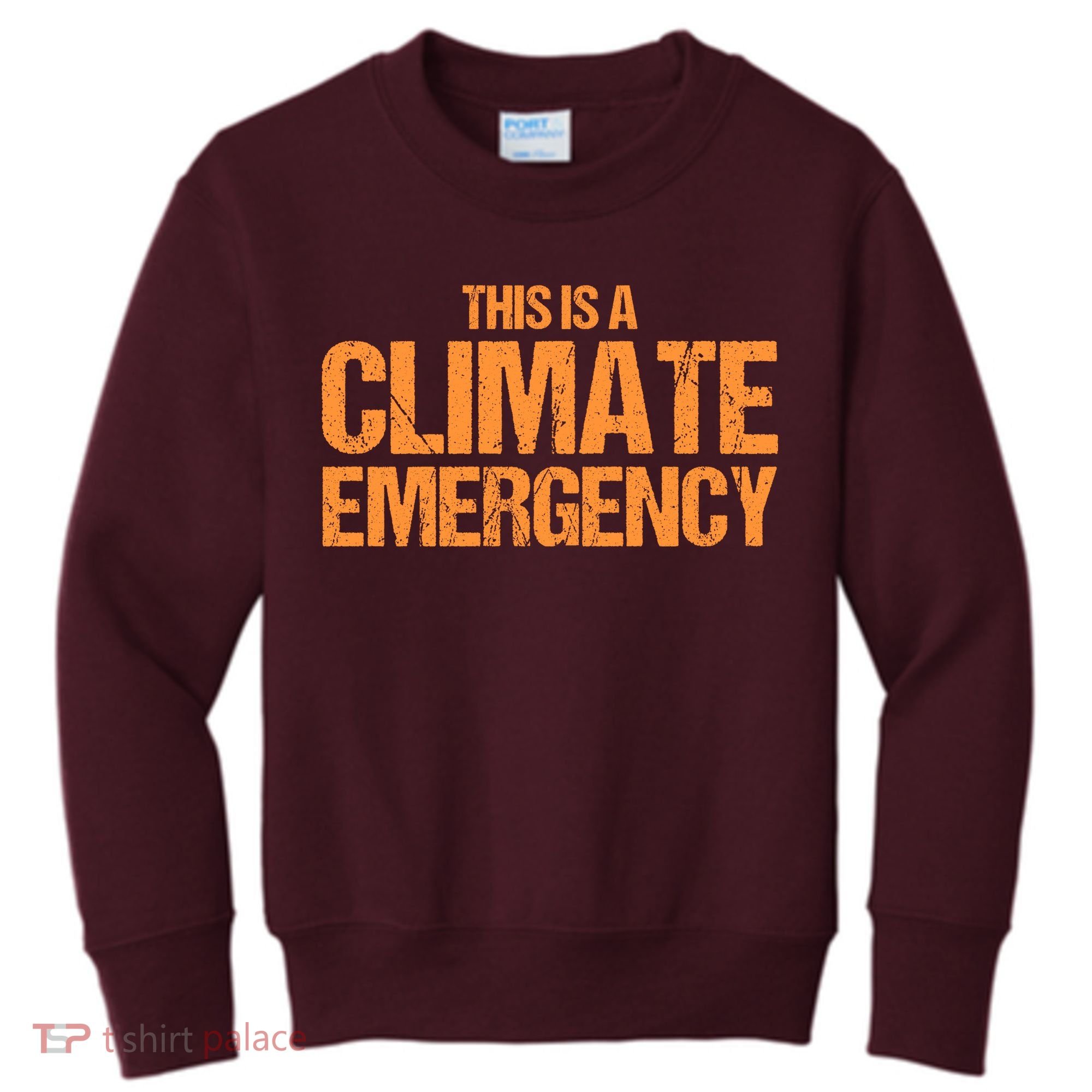 This Is A Climate Emergency Kids Sweatshirt