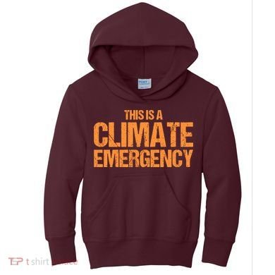 This Is A Climate Emergency Kids Hoodie