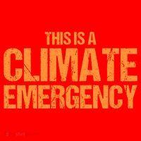 This Is A Climate Emergency Santa Hat thumb 1