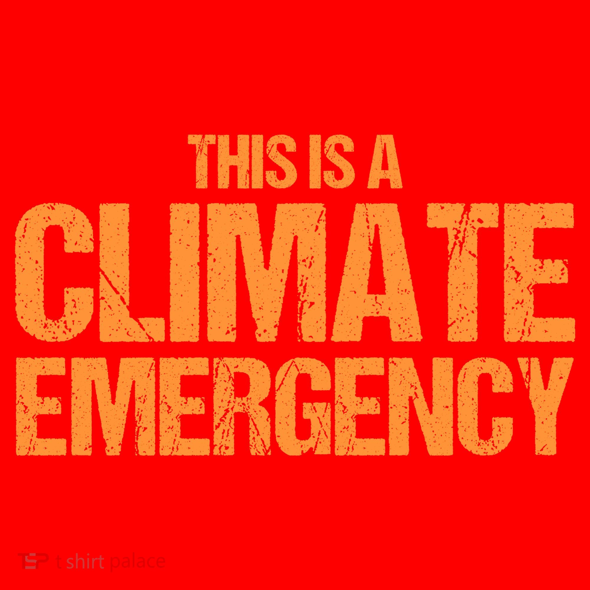 This Is A Climate Emergency Santa Hat