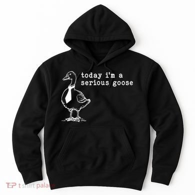 Today IM A Serious Goose Hoodie