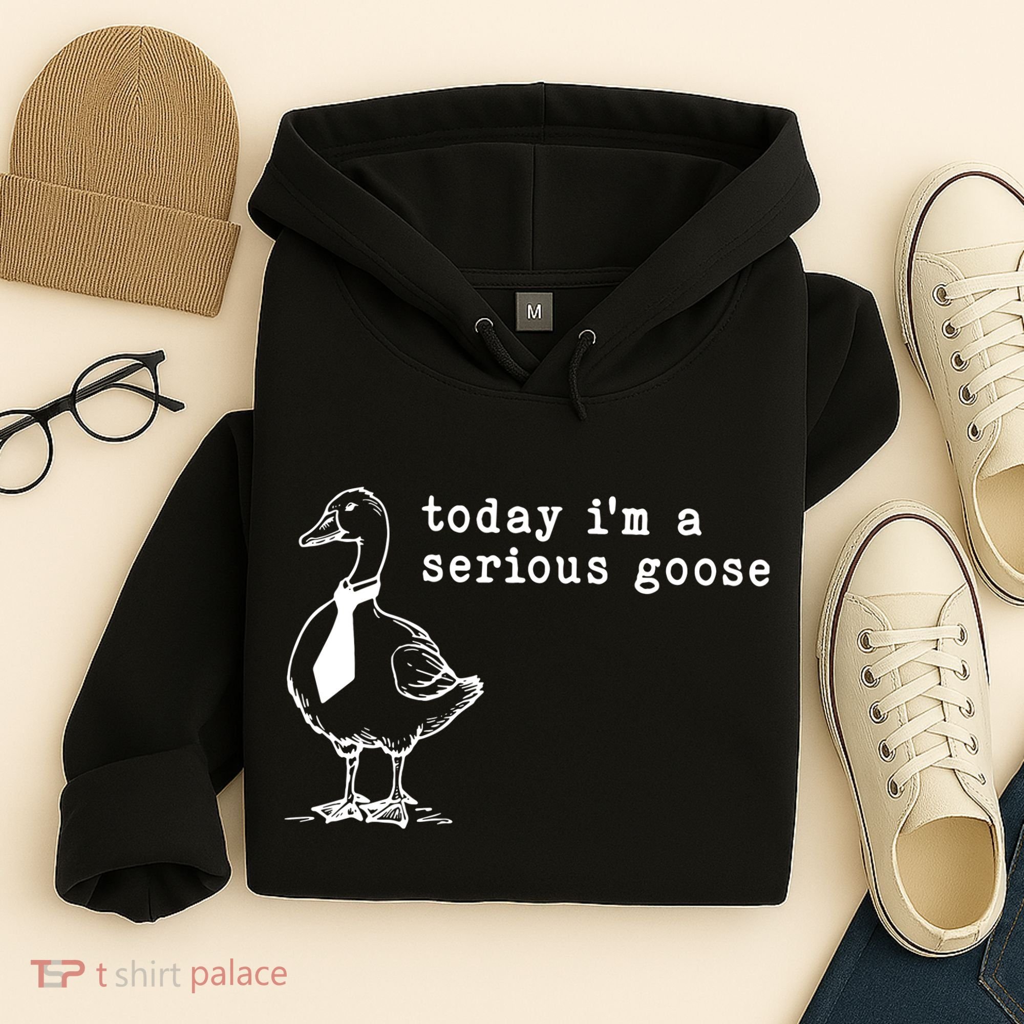 Today IM A Serious Goose Hoodie
