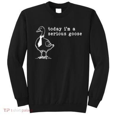 Today IM A Serious Goose Sweatshirt