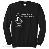 Today IM A Serious Goose Sweatshirt thumb 0