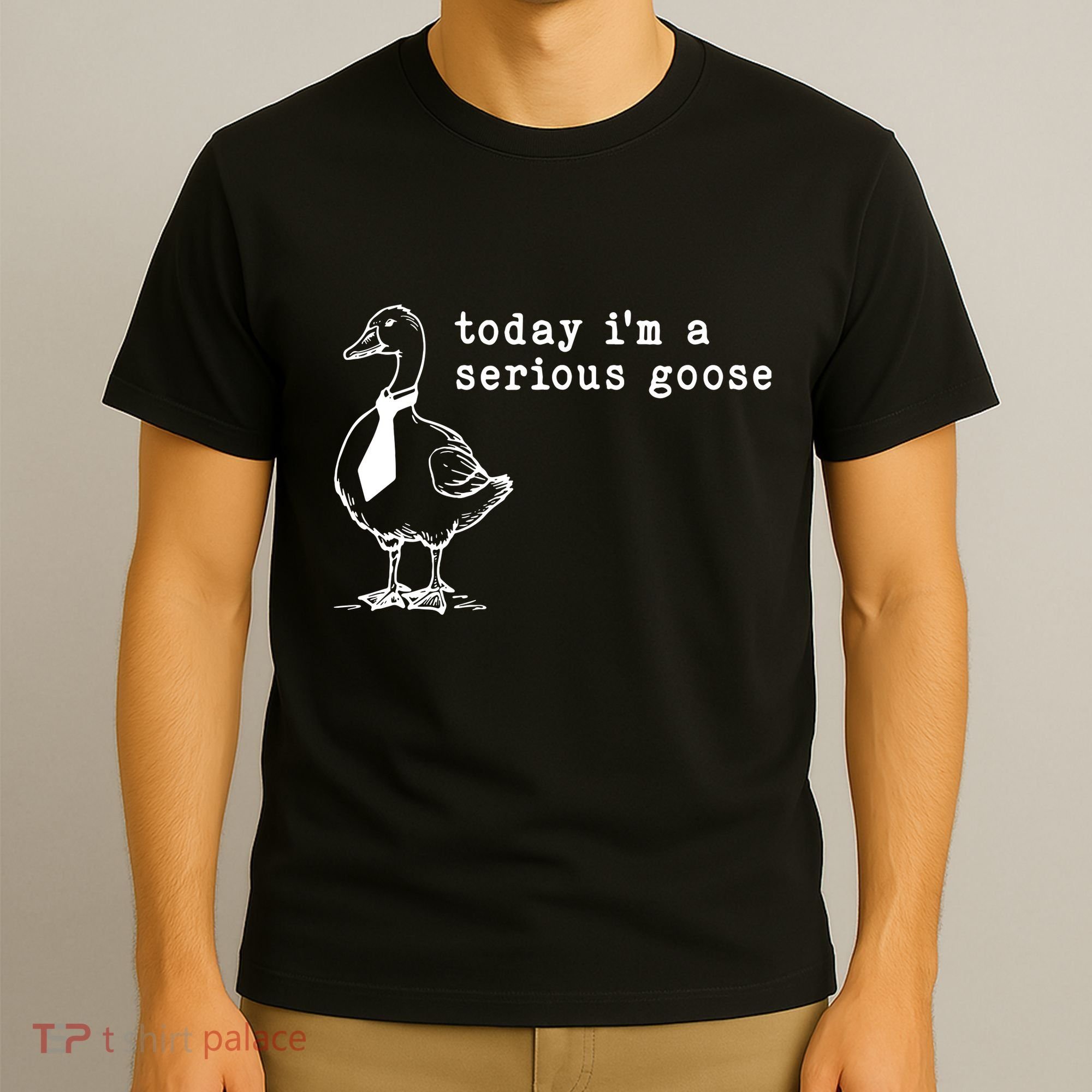 Today IM A Serious Goose T-Shirt