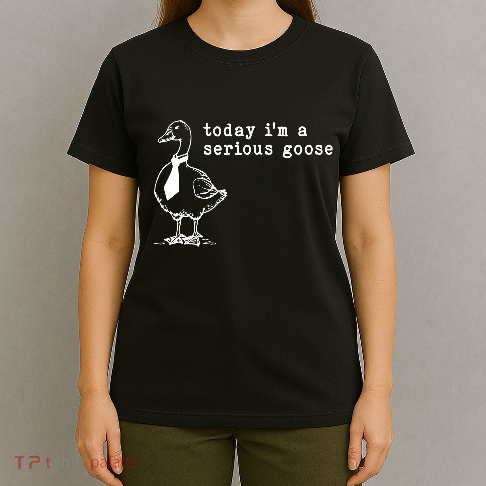 Today IM A Serious Goose T-Shirt