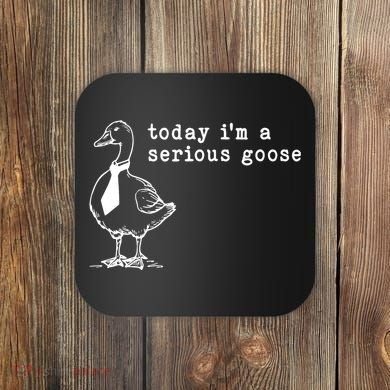 Today IM A Serious Goose Coaster