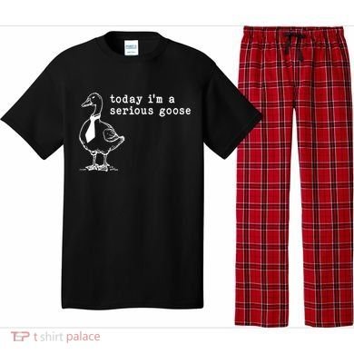 Today IM A Serious Goose Pajama Set