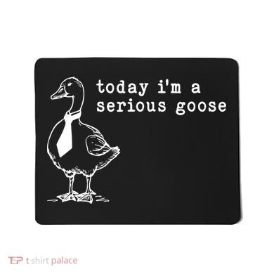 Today IM A Serious Goose Mousepad