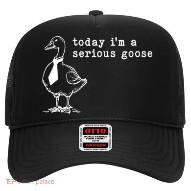 Today IM A Serious Goose Hat