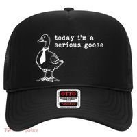 Today IM A Serious Goose Hat thumb 0