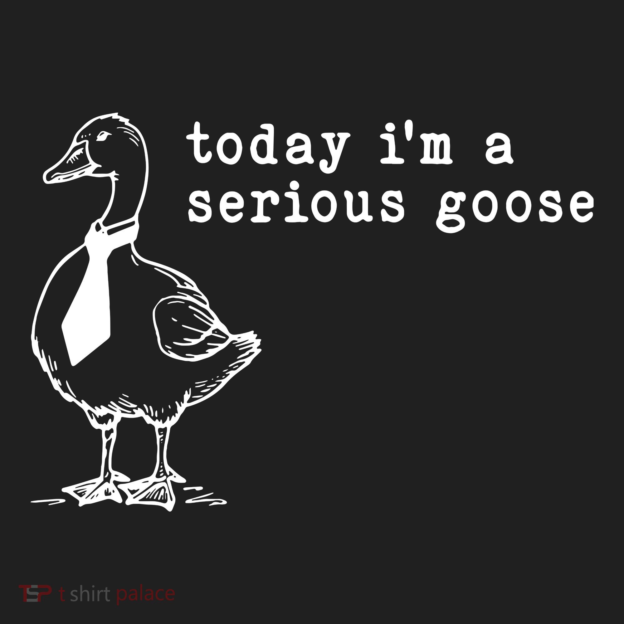 Today IM A Serious Goose Hat