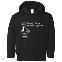 Today IM A Serious Goose Toddler Hoodie thumb 0
