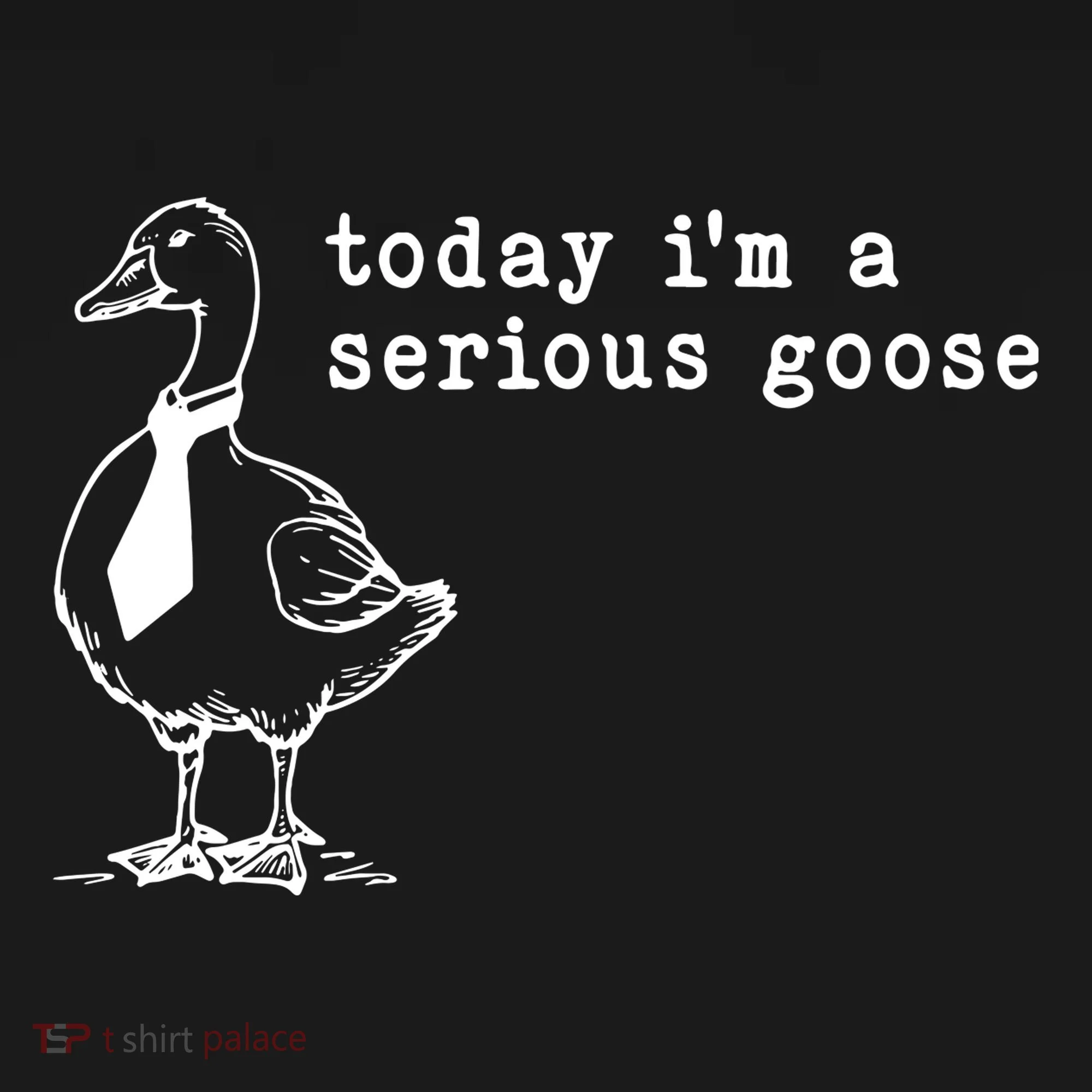 Today IM A Serious Goose Toddler Hoodie