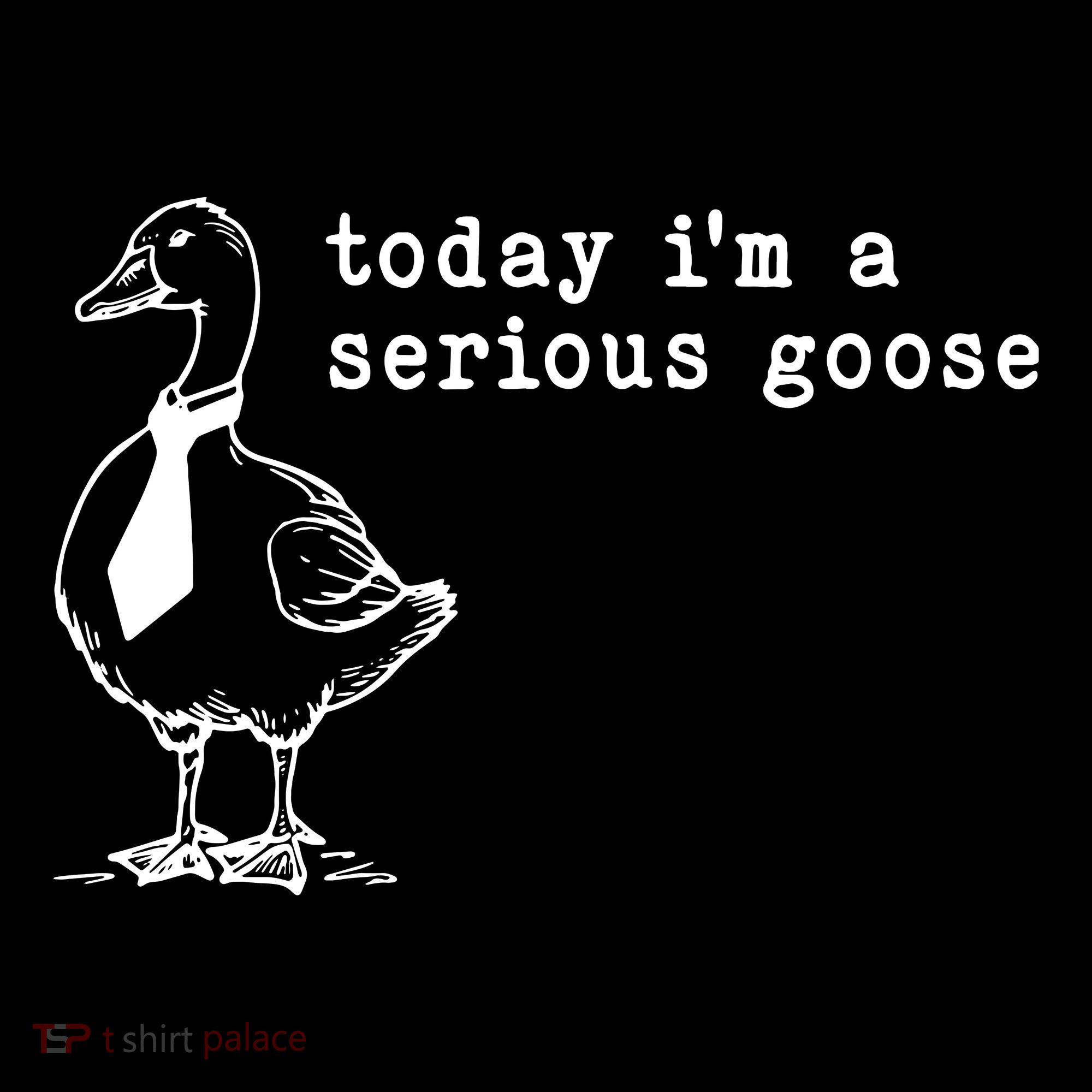 Today IM A Serious Goose Toddler T-Shirt
