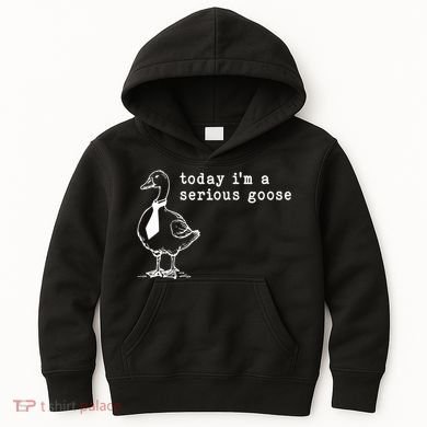 Today IM A Serious Goose Kids Hoodie