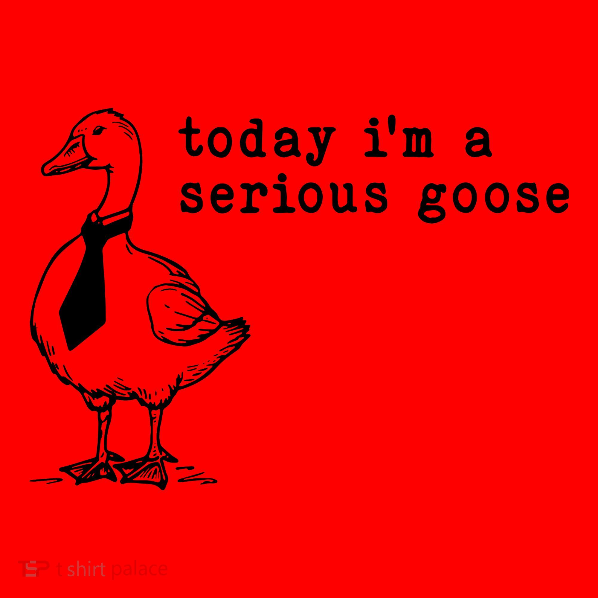 Today IM A Serious Goose Santa Hat
