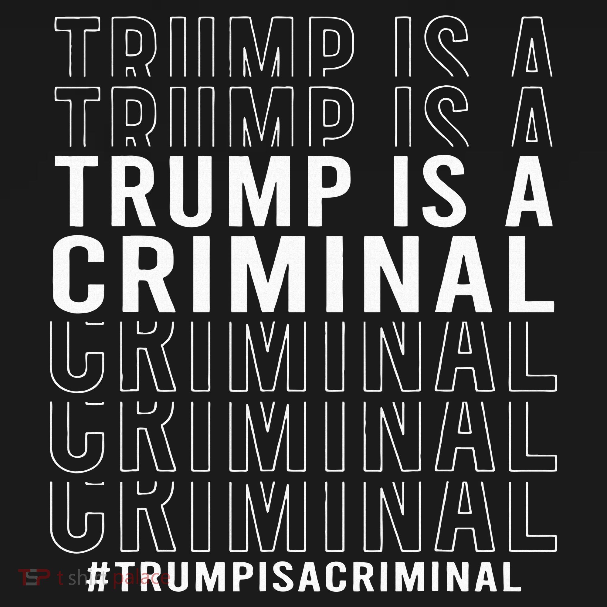 Trump Is A Criminal Trump For Prison Women's Hoodie