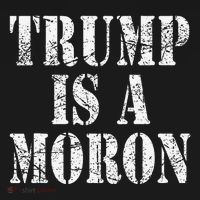 Trump Is A Moron Antitrump Dumb Stupid Idiot Women's Hoodie thumb 2