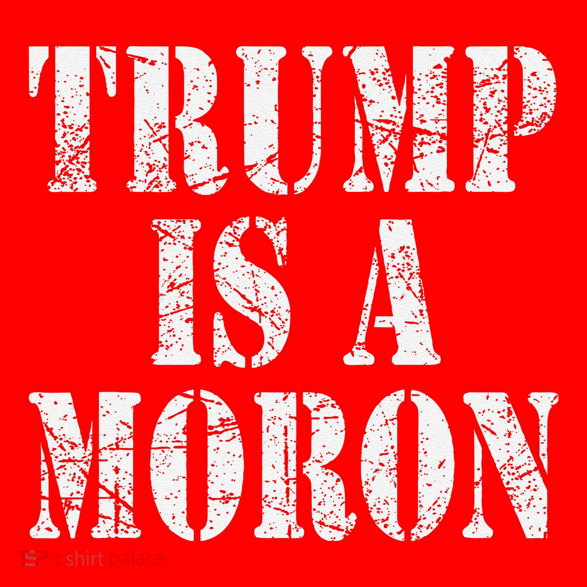Trump Is A Moron Antitrump Dumb Stupid Idiot Santa Hat