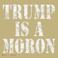 Trump Is A Moron Antitrump Dumb Stupid Idiot Mousepad thumb 1