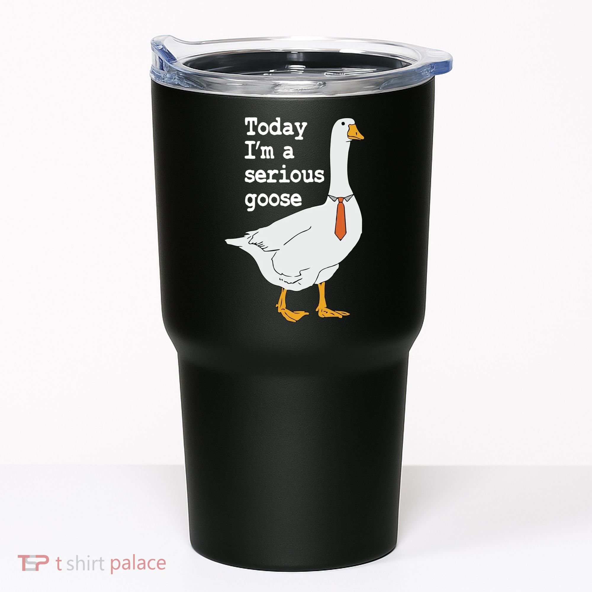 Today Im A Serious Goose Silly Humor Tumbler