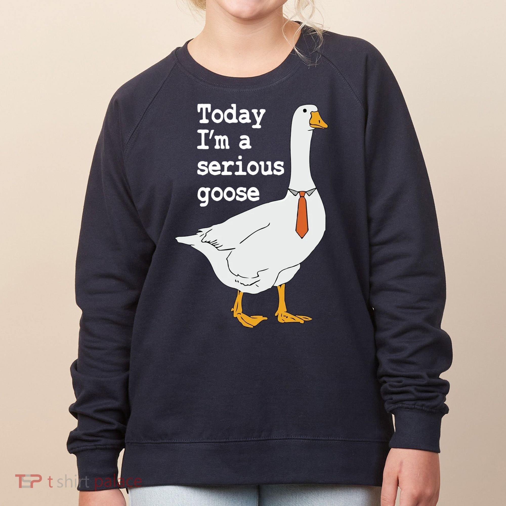Today Im A Serious Goose Silly Humor Women's Sweatshirt