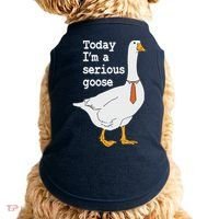 Today Im A Serious Goose Silly Humor Doggie Tank thumb 0