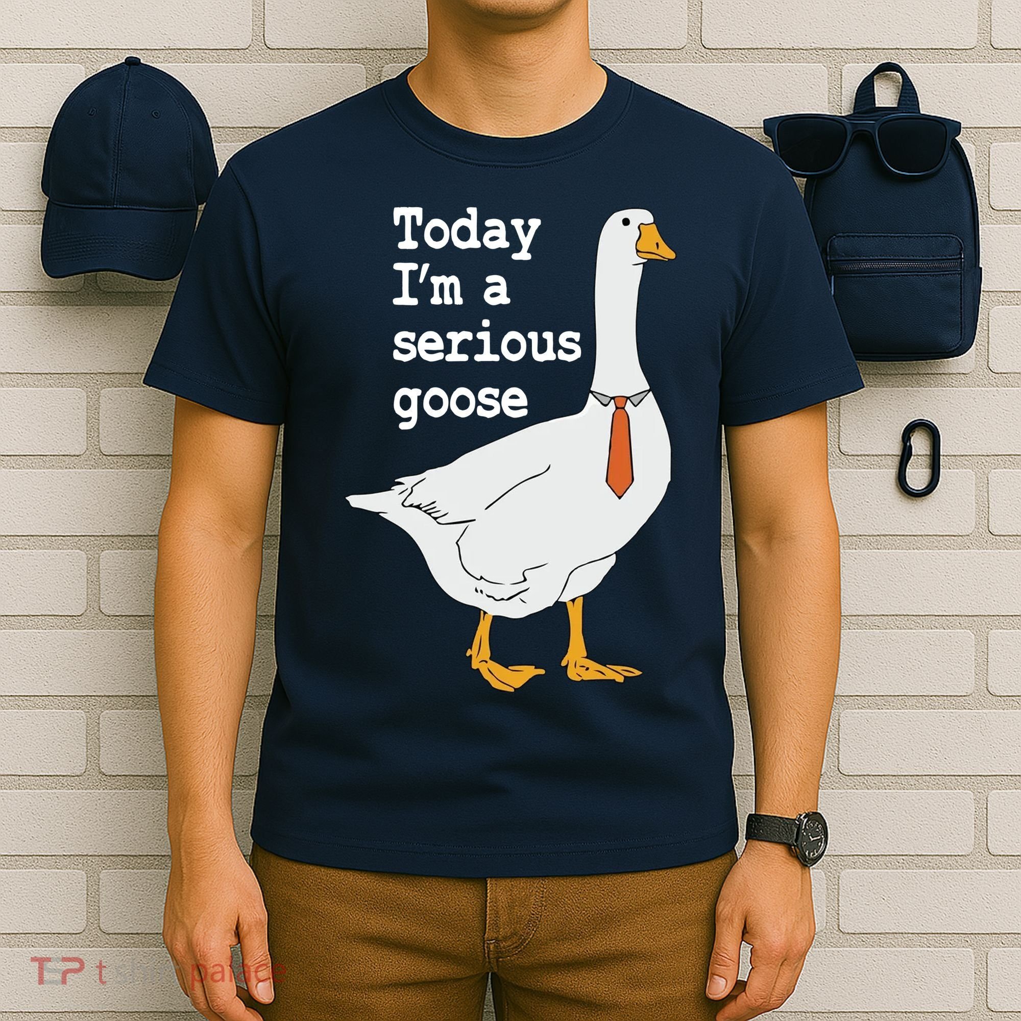 Today Im A Serious Goose Silly Humor T-Shirt