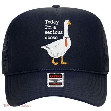 Today Im A Serious Goose Silly Humor Hat