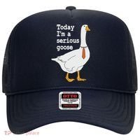 Today Im A Serious Goose Silly Humor Hat thumb 0