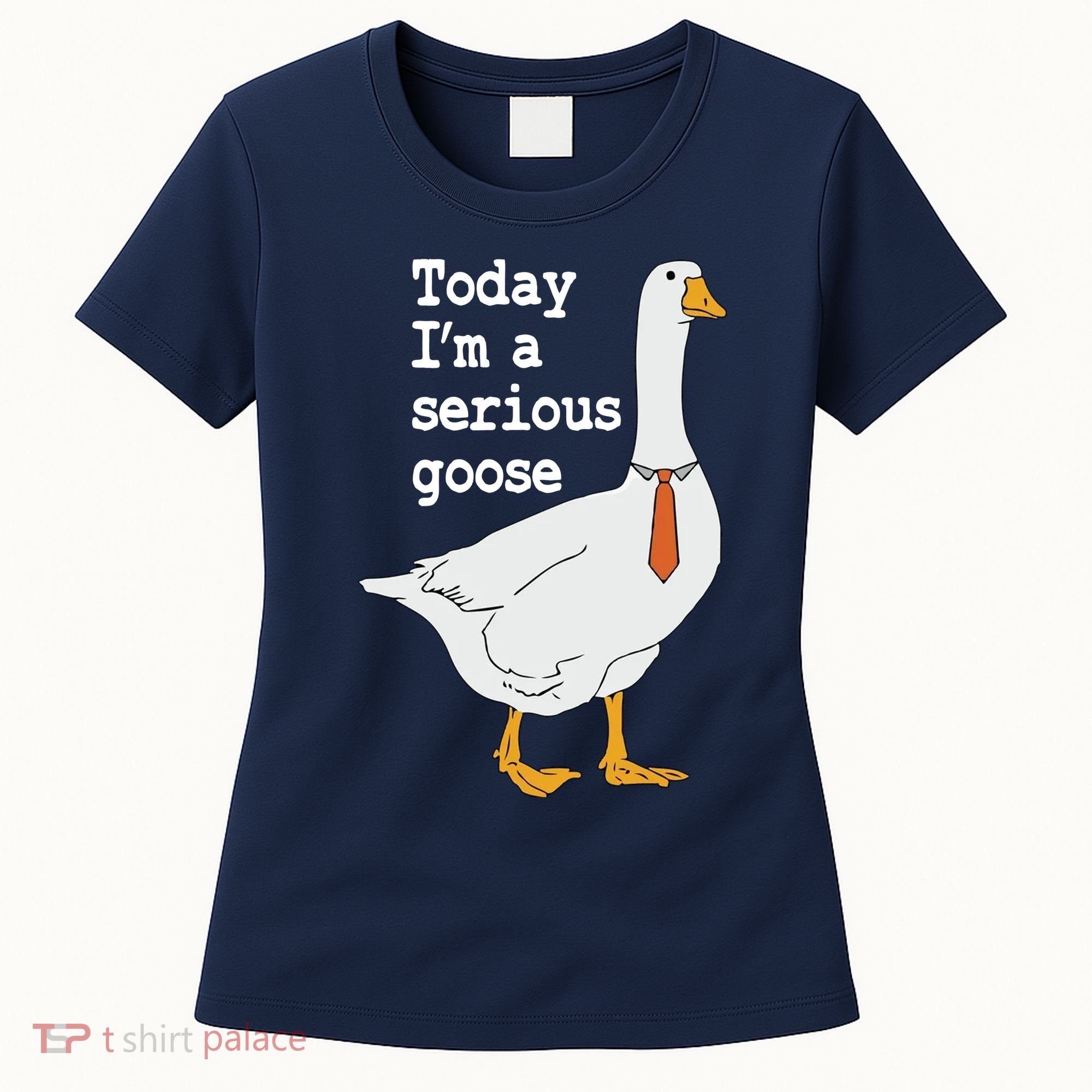 Today Im A Serious Goose Silly Humor Women's T-Shirt