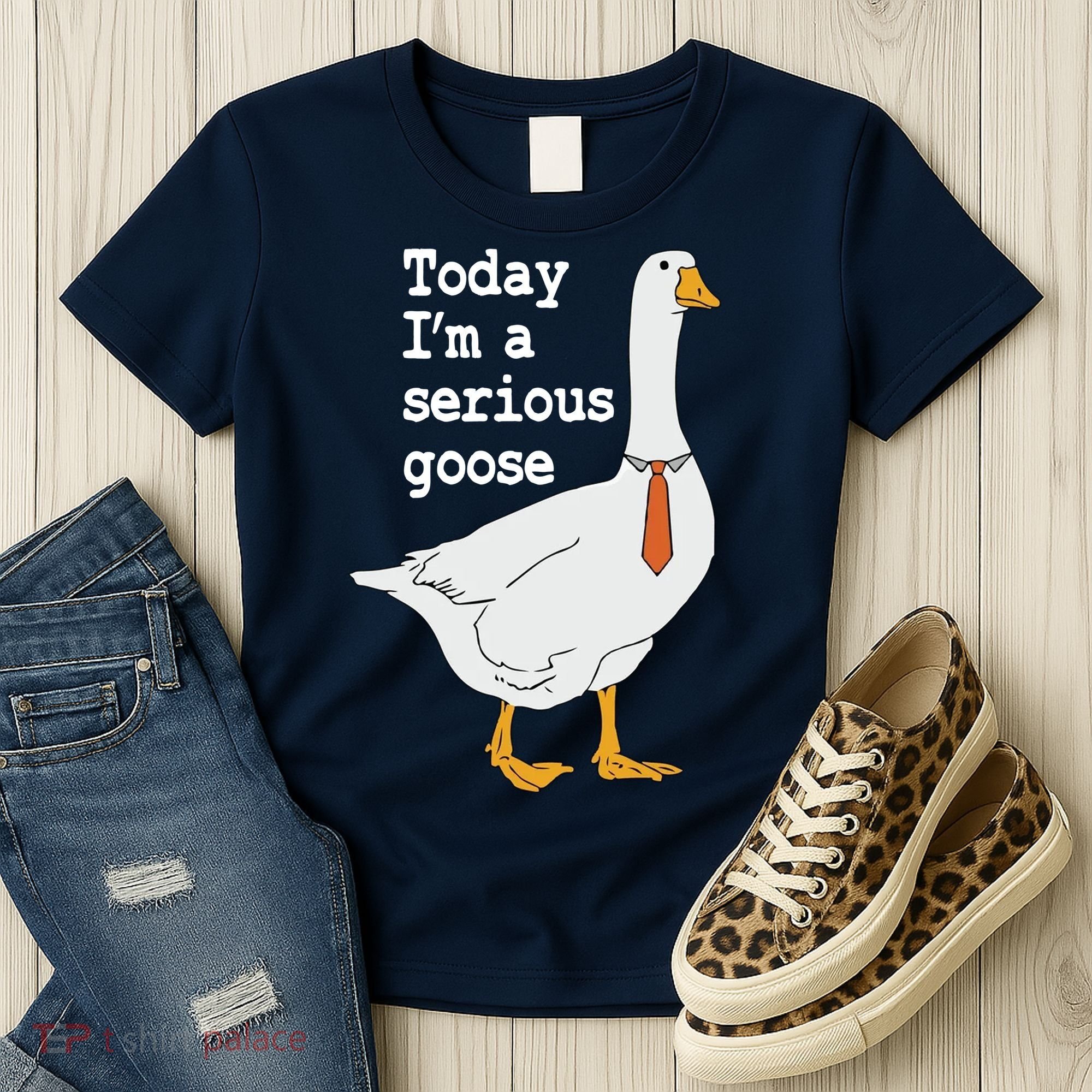 Today Im A Serious Goose Silly Humor Women's T-Shirt