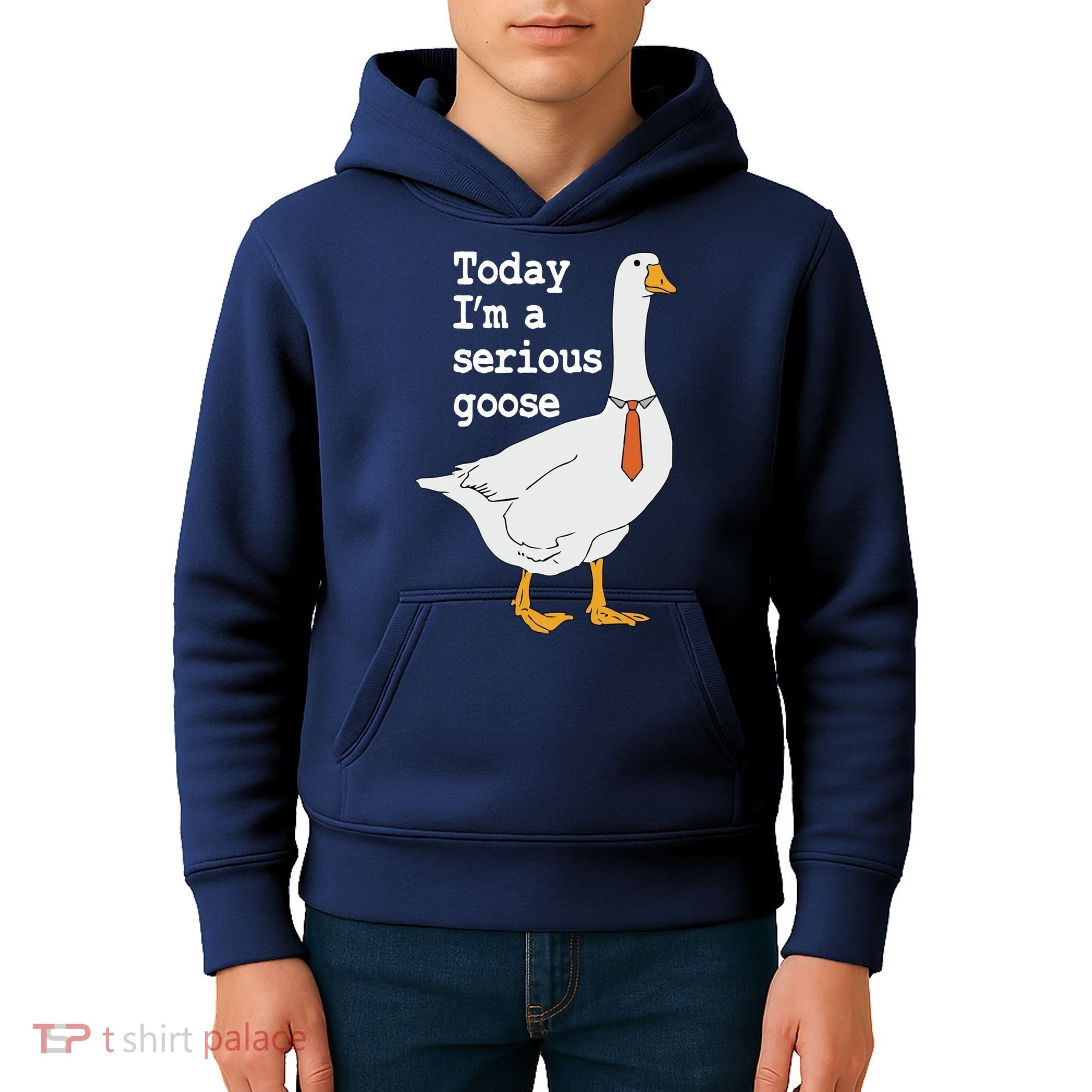 Today Im A Serious Goose Silly Humor Kids Hoodie