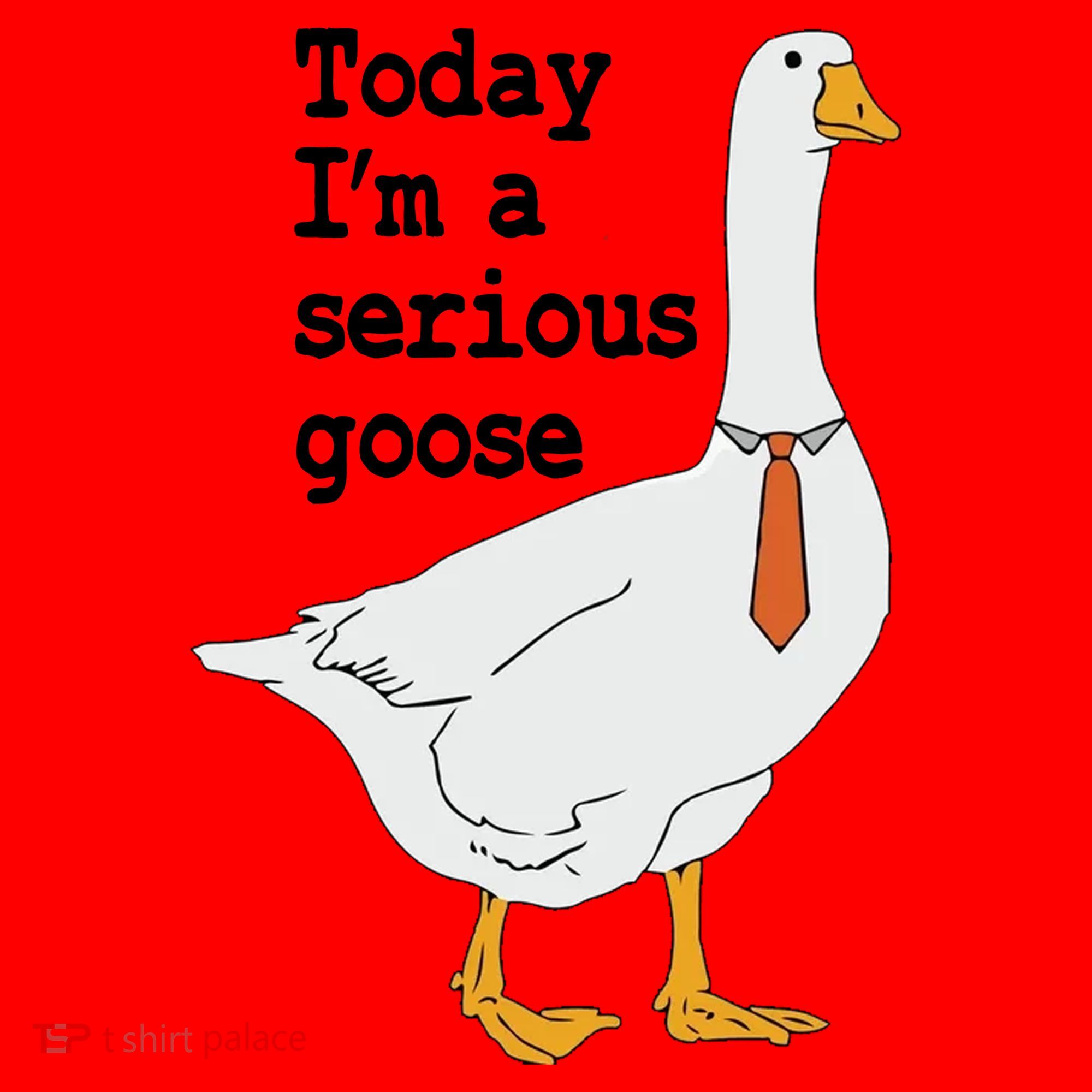 Today Im A Serious Goose Silly Humor Santa Hat
