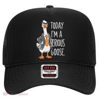 Today IM A Serious Goose Wear Glasses Vest Hat thumb 0