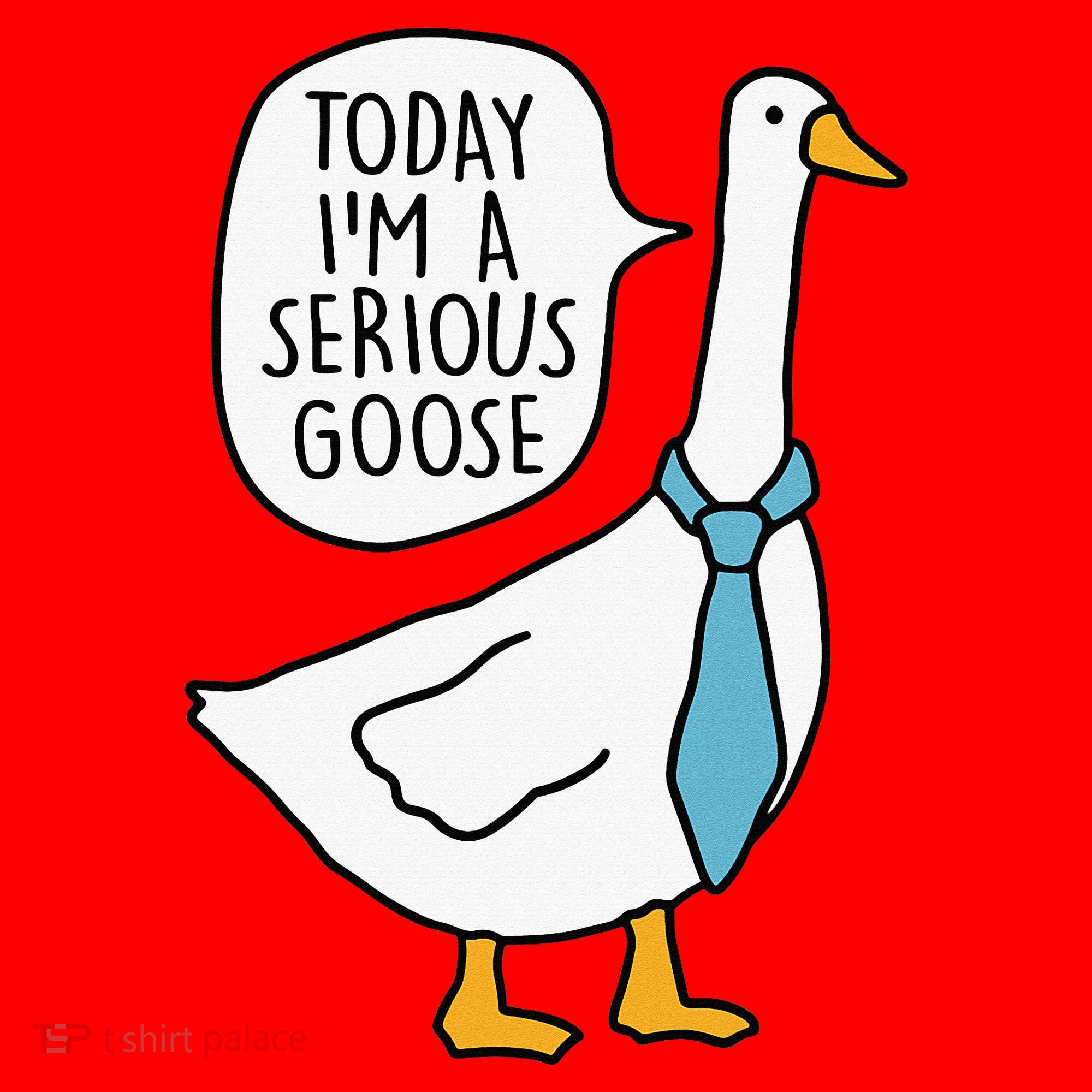 Today IM A Serious Goose Santa Hat