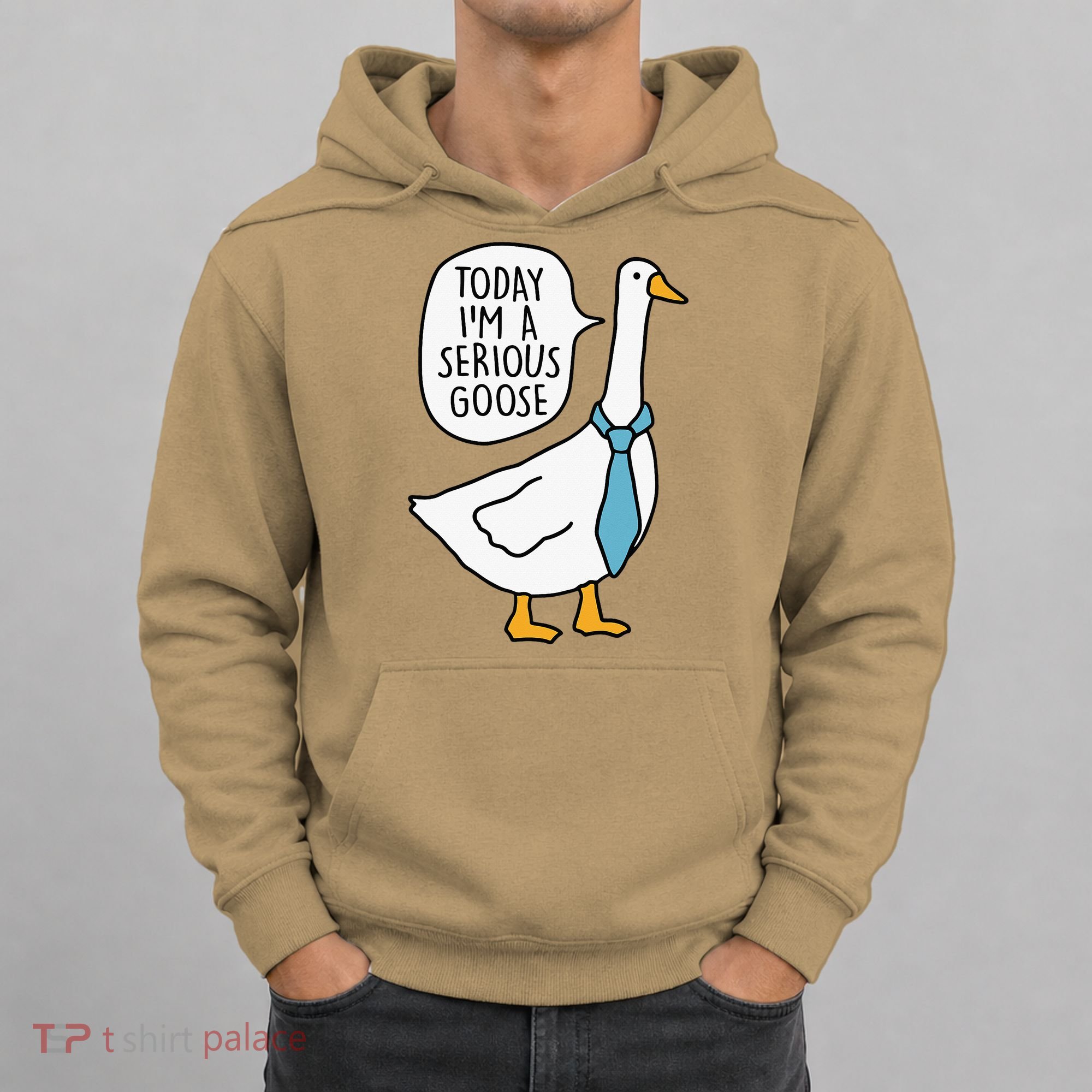 Today IM A Serious Goose Hoodie