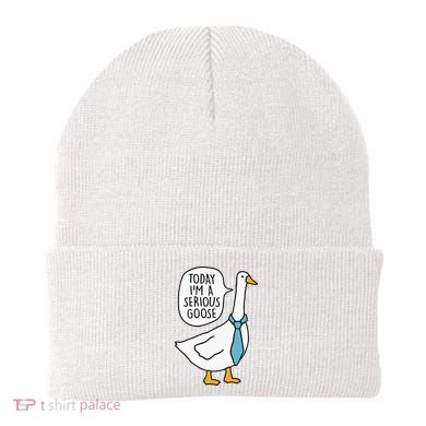 Today IM A Serious Goose Beanie